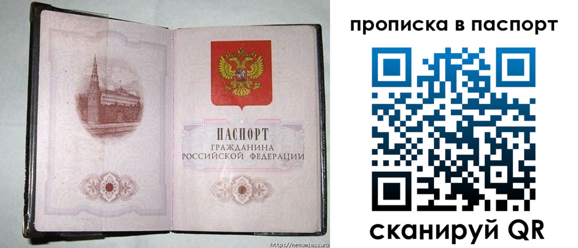 прописка гарантия в Сургуте