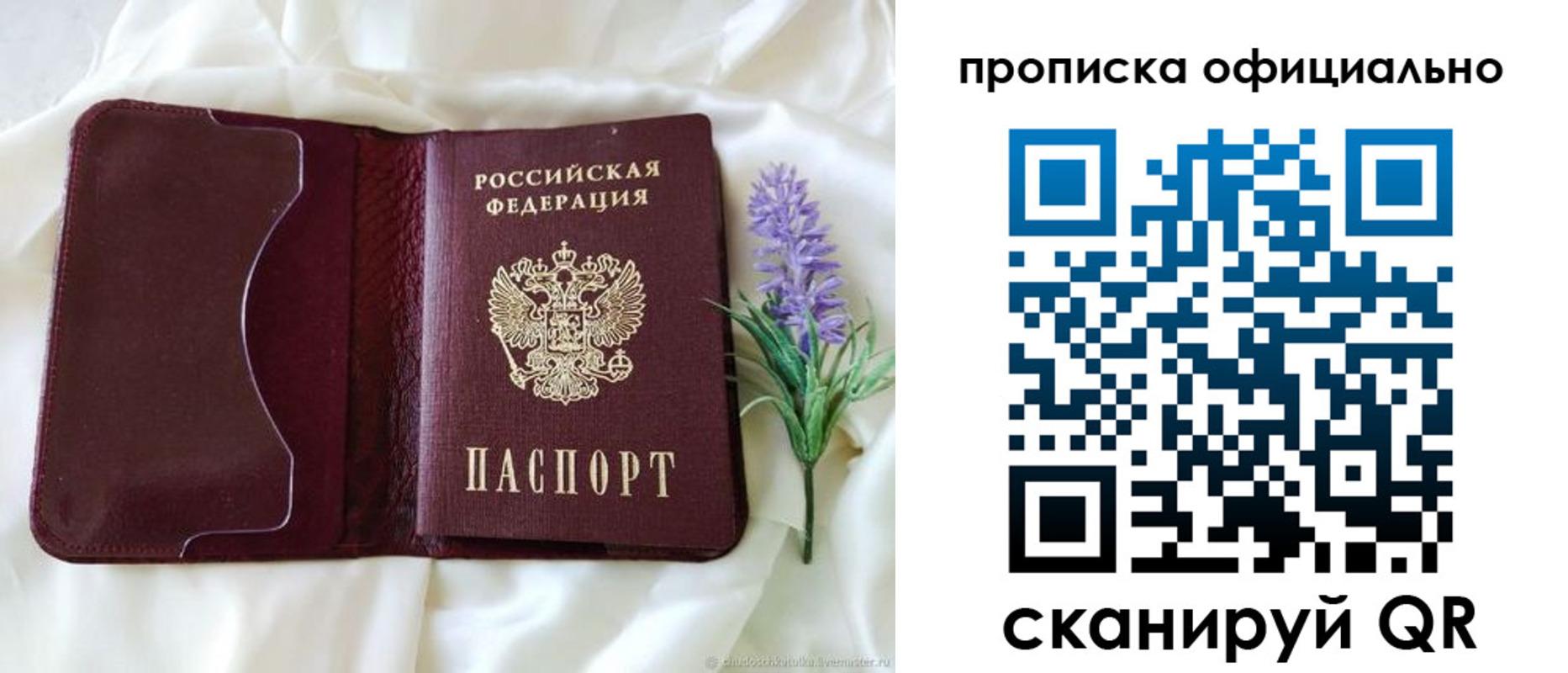 прописка поиск в Сургуте